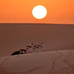 Dubaicanam Camp