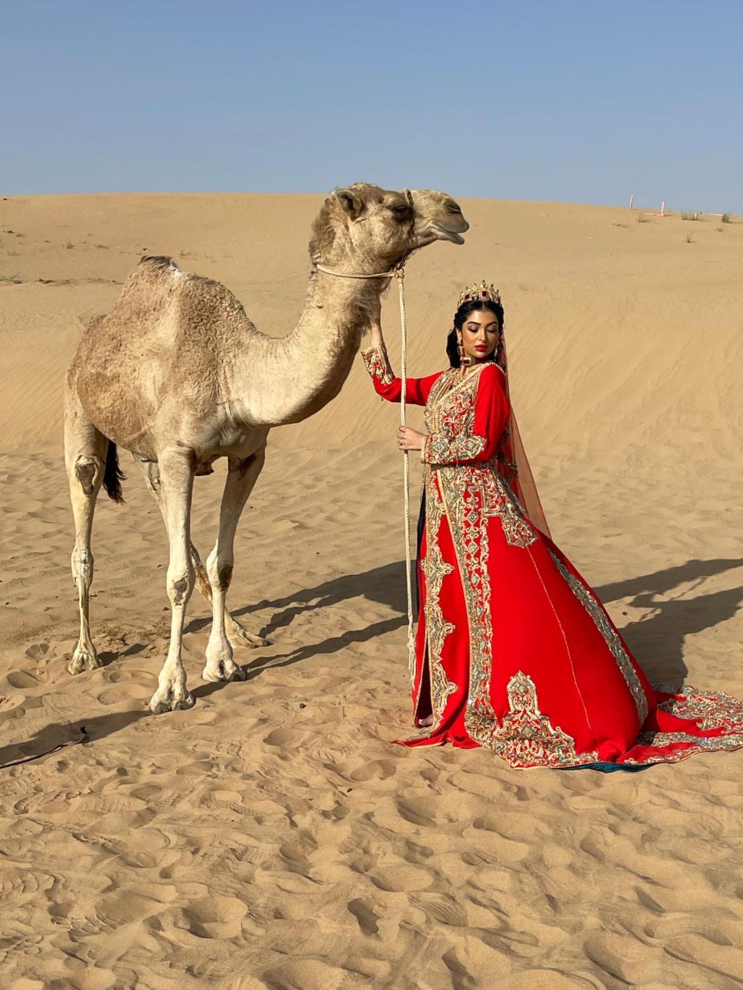 Luxury tent Dubaicanam Camp Dubai