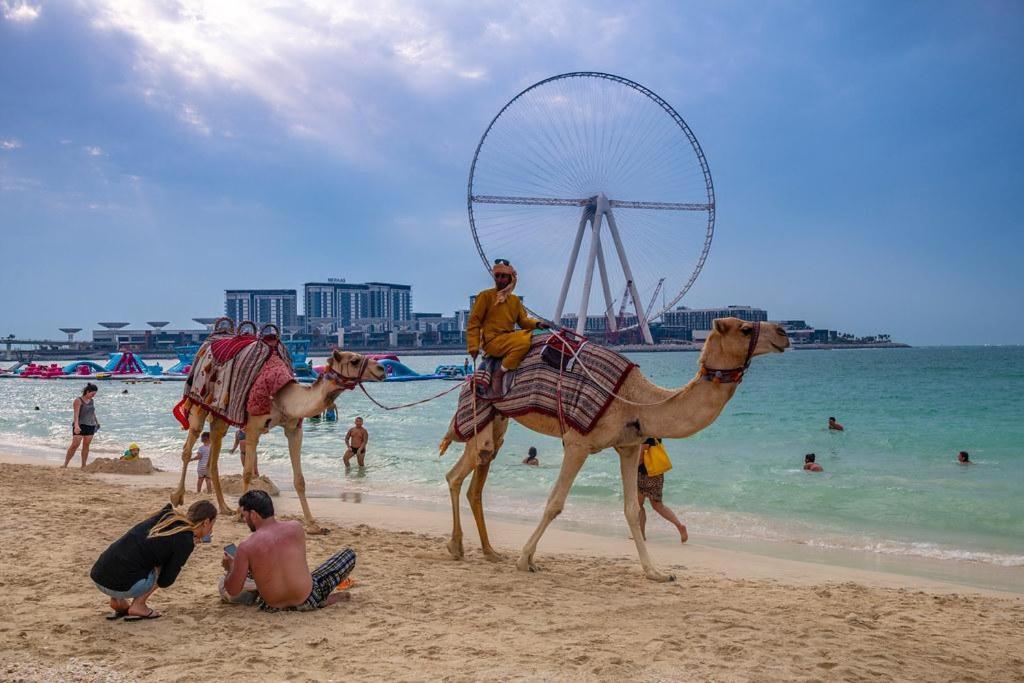 Appartement Success Luxury - 5 Min Away Marina Corniche - Free Housekeeping Provided Everyday-24-7 Staff Available For Services Dubai