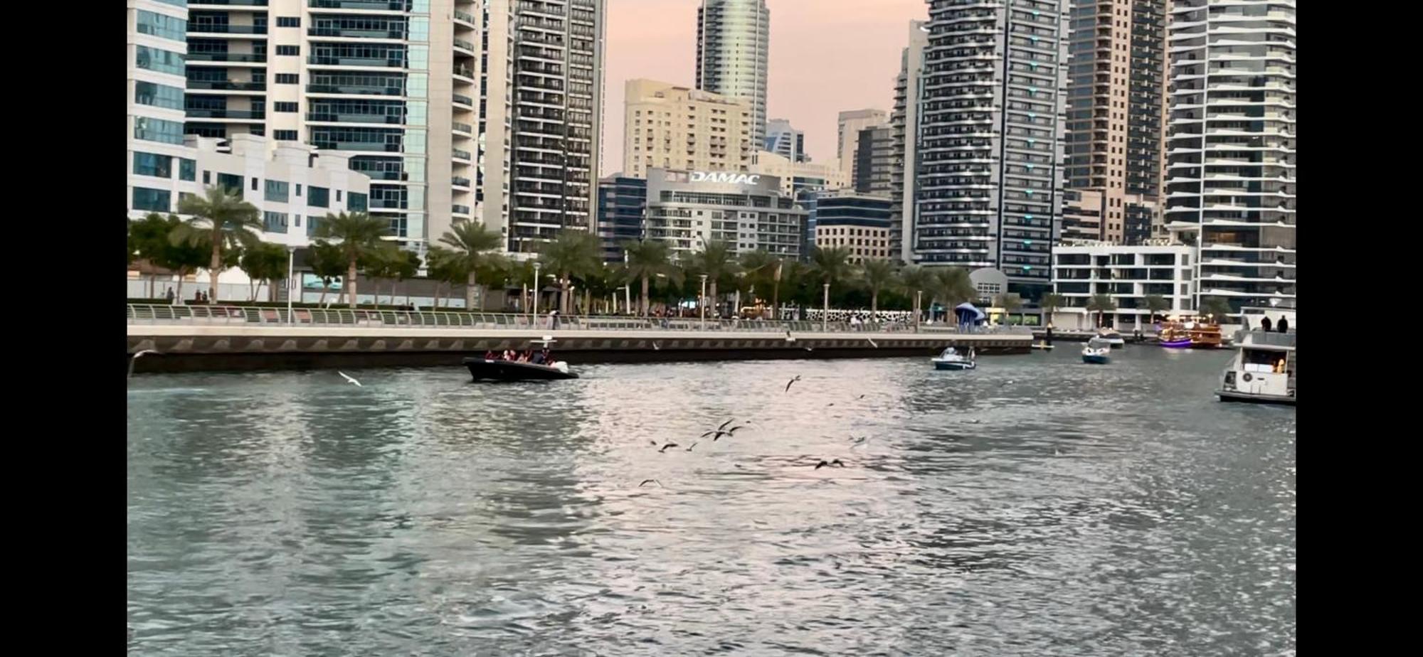 Appartement Bright & Cozy 1 Bedroom Canal View In Marina Dubaï