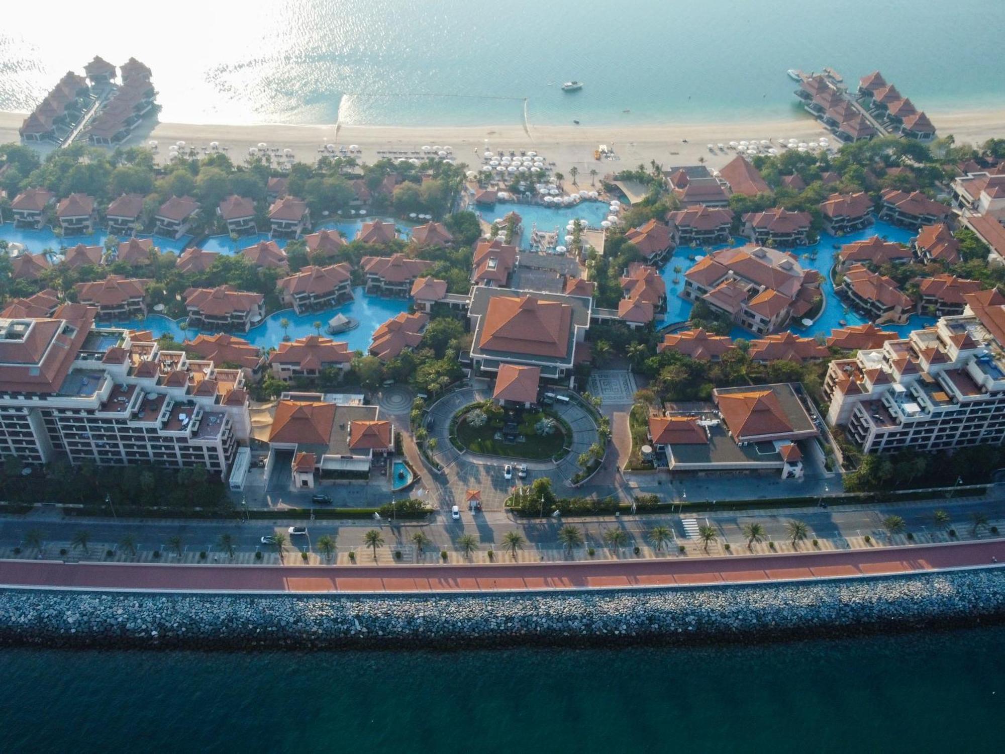 Elegant 1br Full Palm View At 5 Star Apartamento