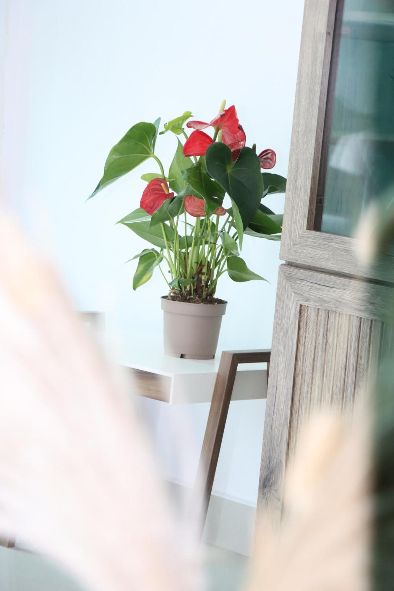 Vista Lavisha Vacation - Elegant 1bdr With Stunning Sea View And Partial Canal View Apartemen Dubai