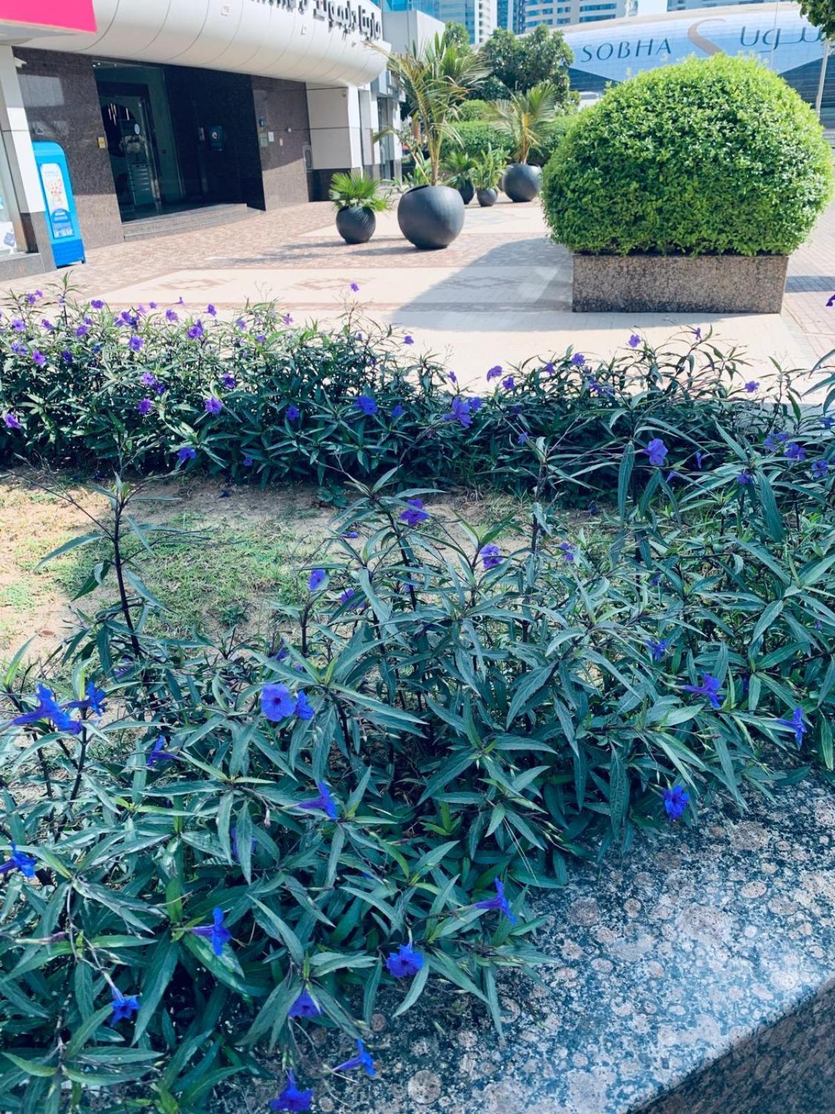 Appartamento 1 Bhk Luxury Merina Views *