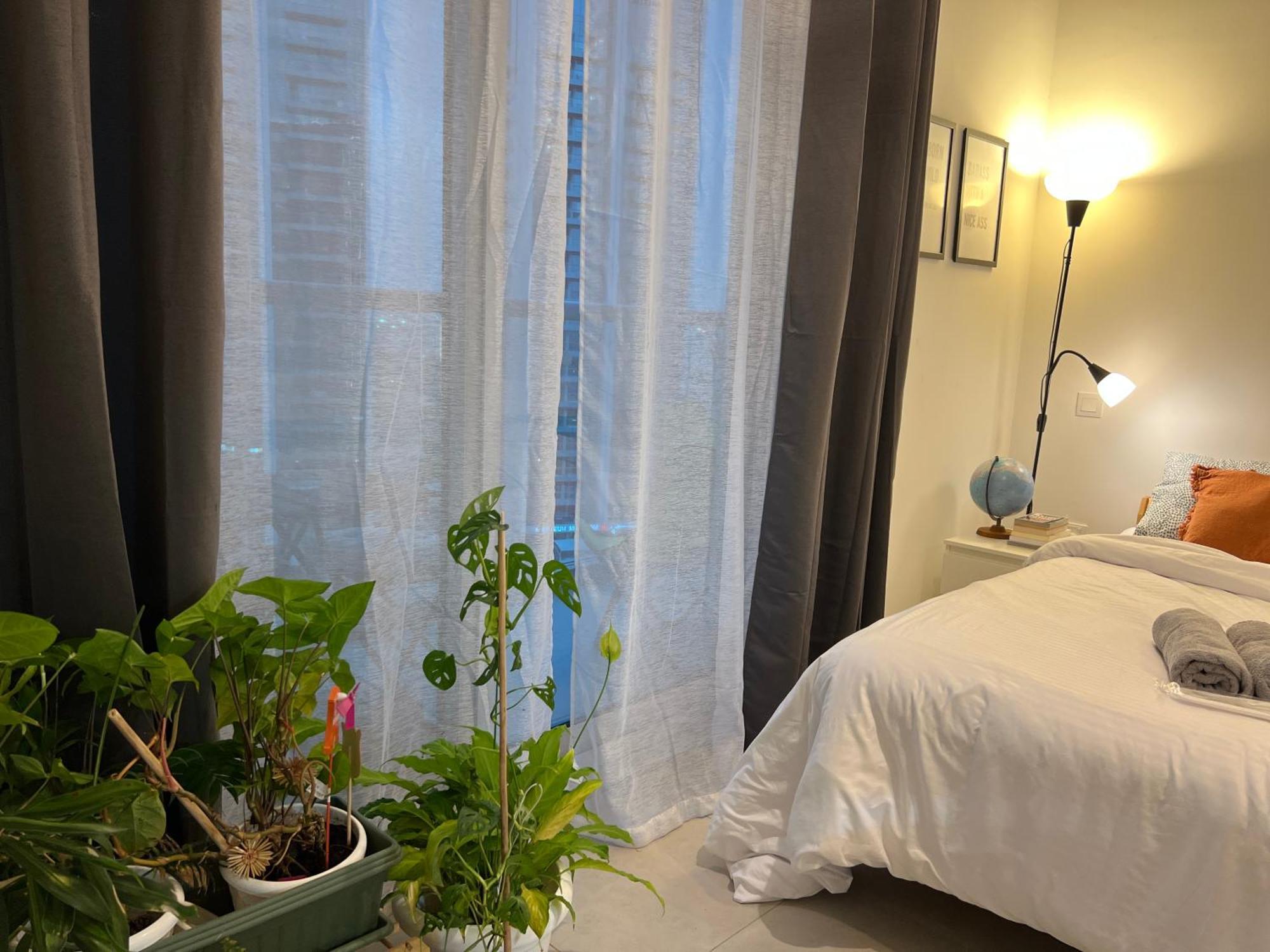 Cozy Studio, Amazing Amenities Appartamento *
