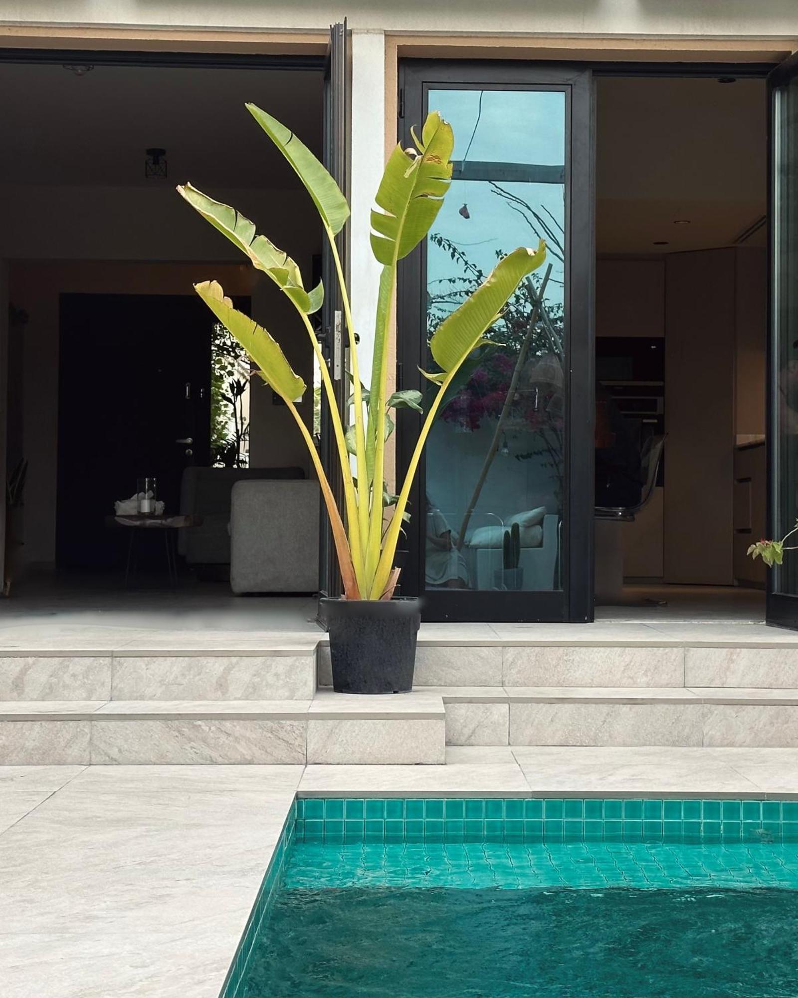 Villa Bayt Lili Chic With Private Pool