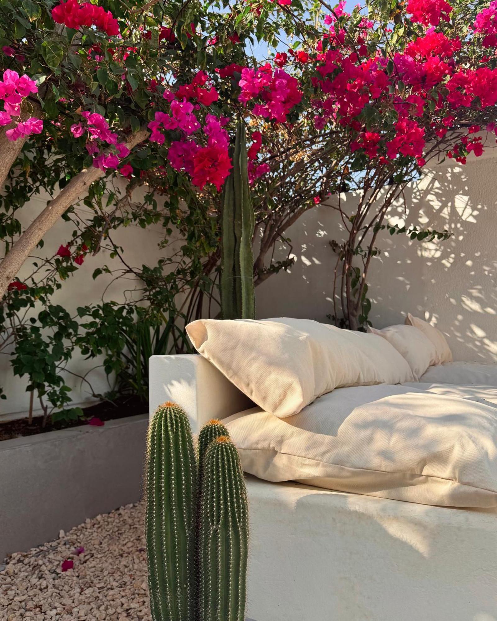 Villa Bayt Lili Chic With Private Pool *