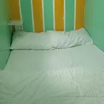 Ruby Star Hostel Dubai Loft Bed Partition G