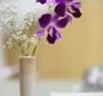 Bavaria Executive Suites