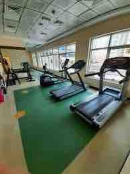 Amazing Largest In Marina Next To Metro - Location Appartement *