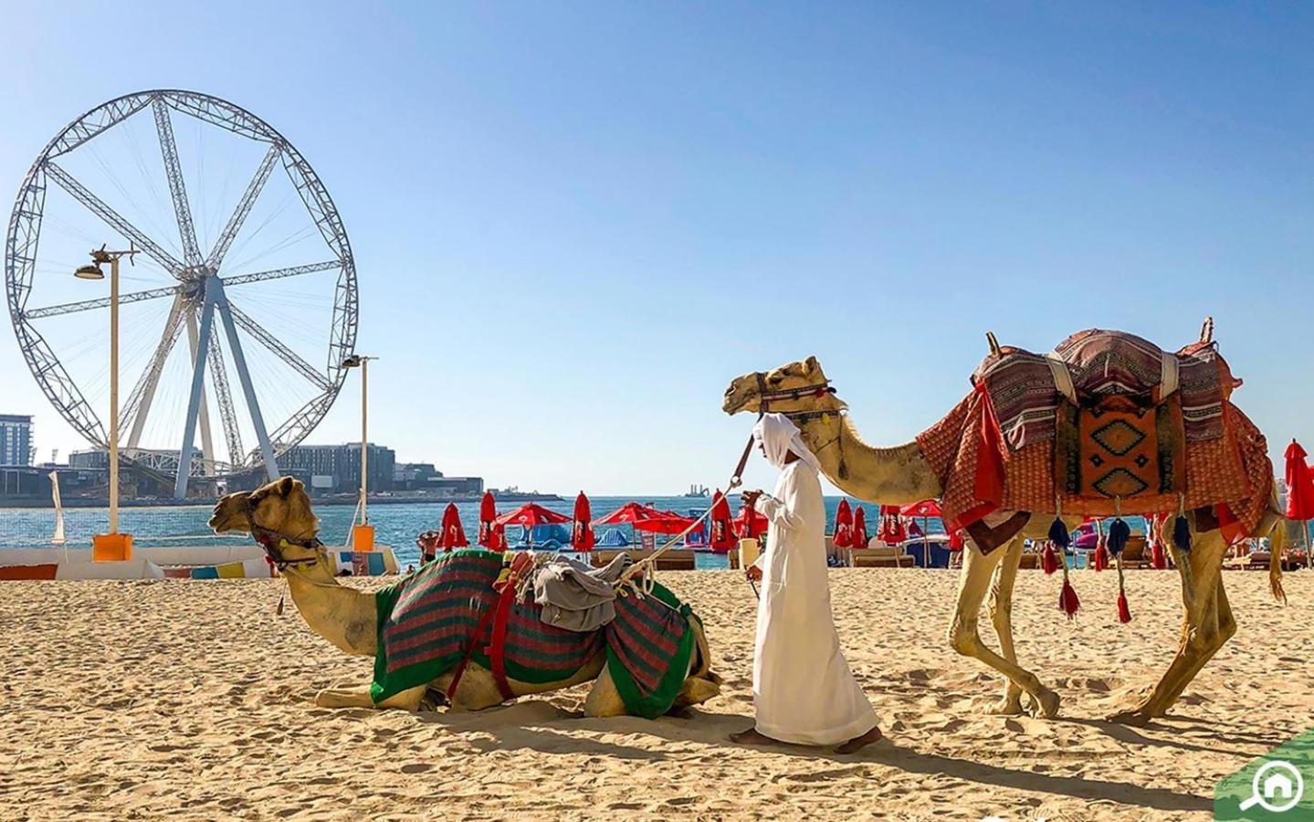 Apartament Shams 2 Bedrooms On Jbr By Happy Season Dubai