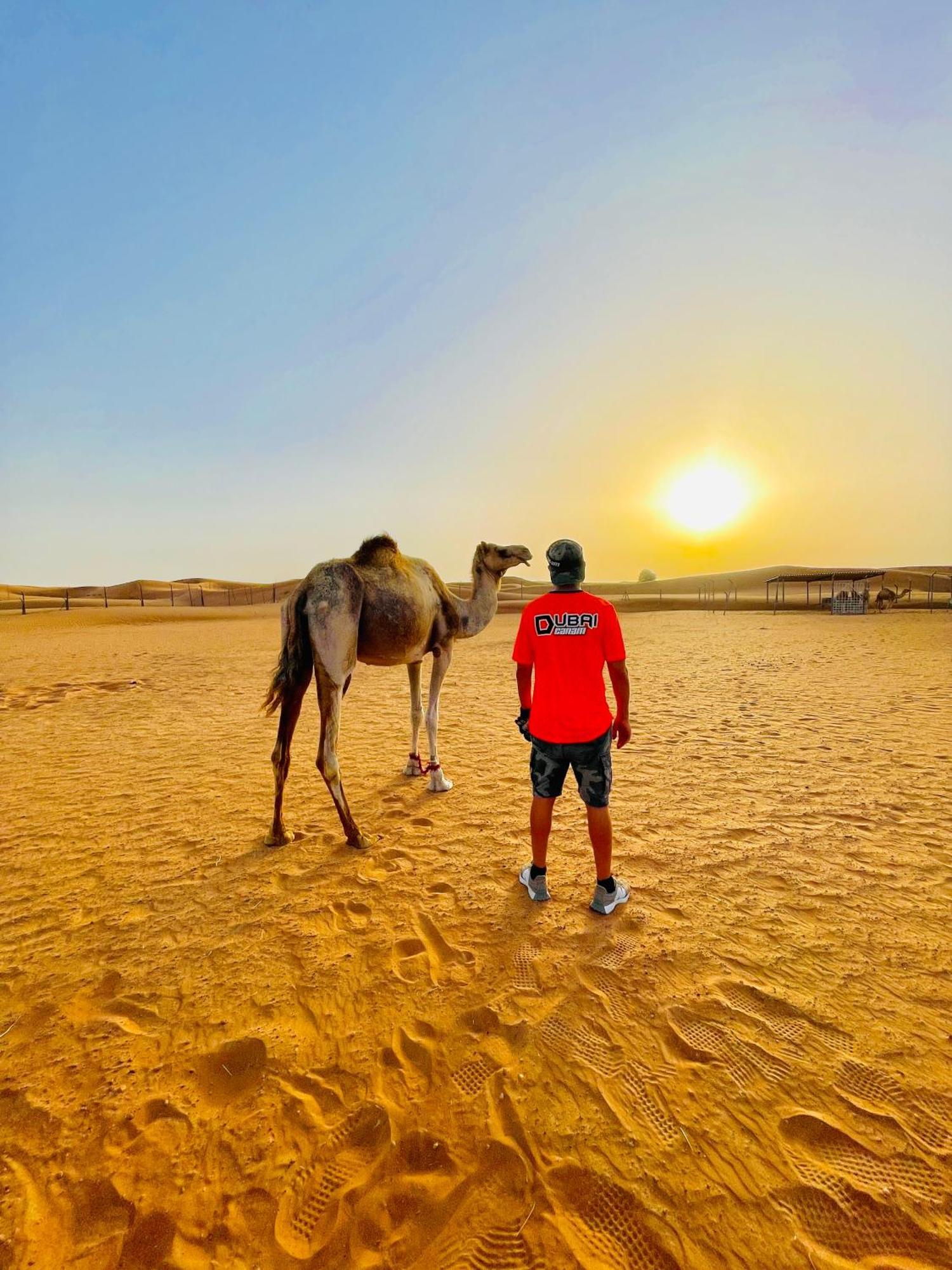 Luxury tent Dubaicanam Camp *