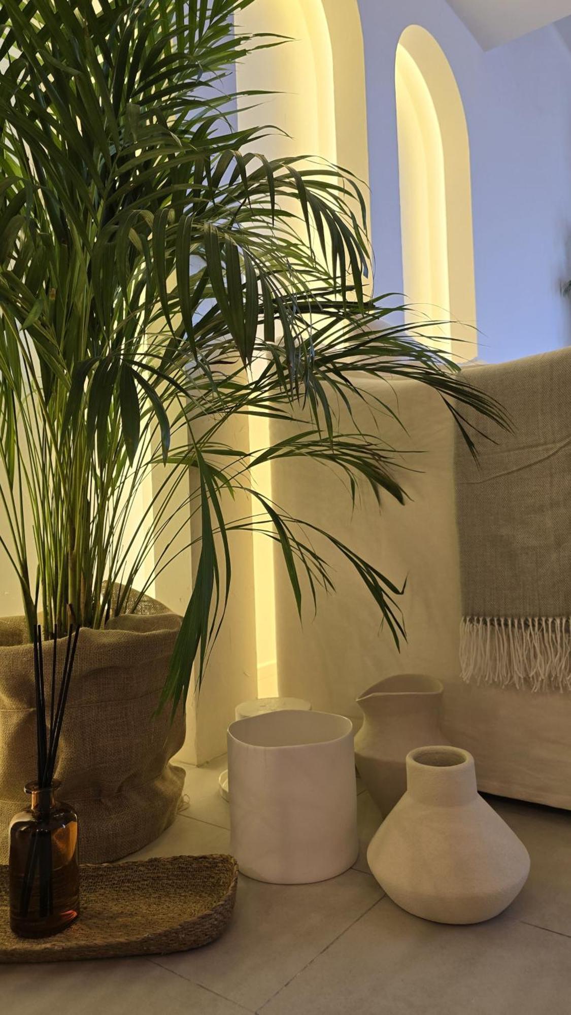 Appartement Luxury 2br Biophilic Retreat With Private Jacuzzi, Massage Chair & Infinity Pool Dubaï