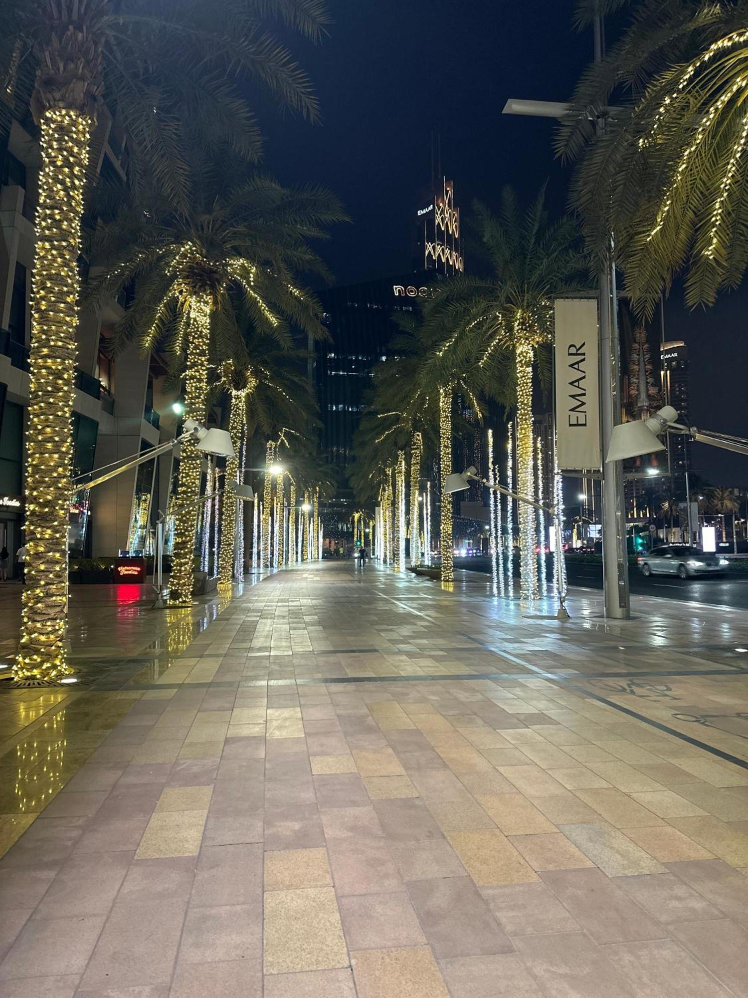 Lägenhet Mall Direct Connection - Burj Vista