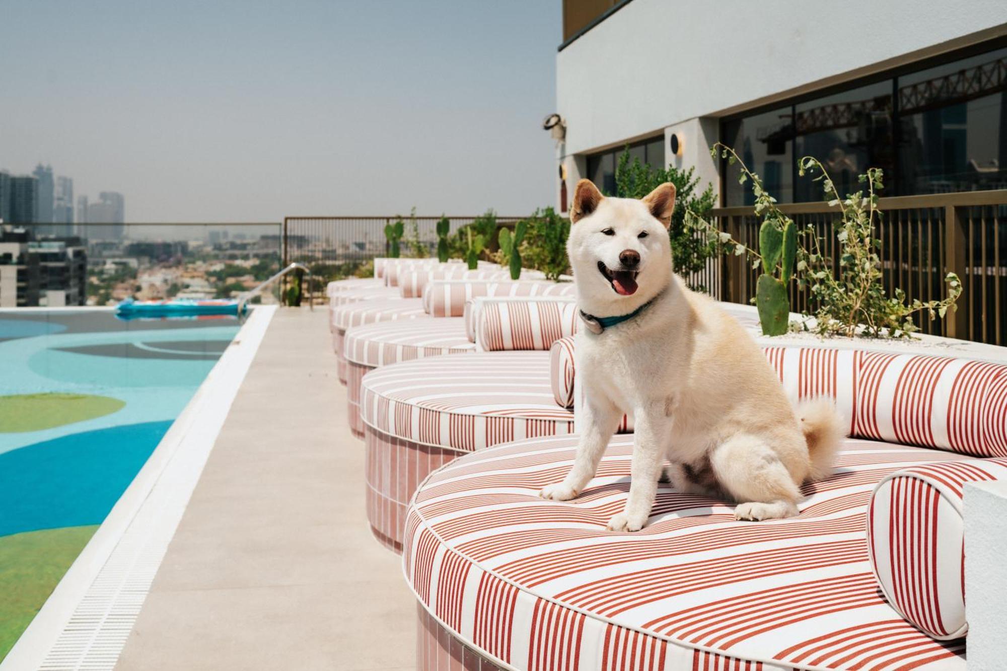 The Muse 45 Aparthotel Dubai