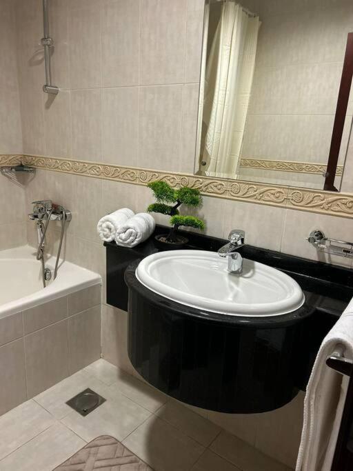 Appartement 1bhk In Marina Near Tram *