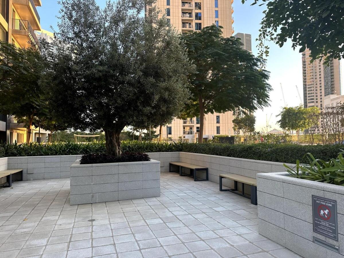 Appartement Comfort In Creek Horizon Dubaï