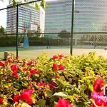 The Urban Oasis - Serenity