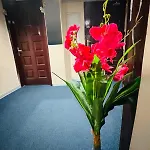 Classic Rooms & Dorm Burdubai