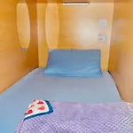 The Five Capsule
