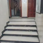 The Star
