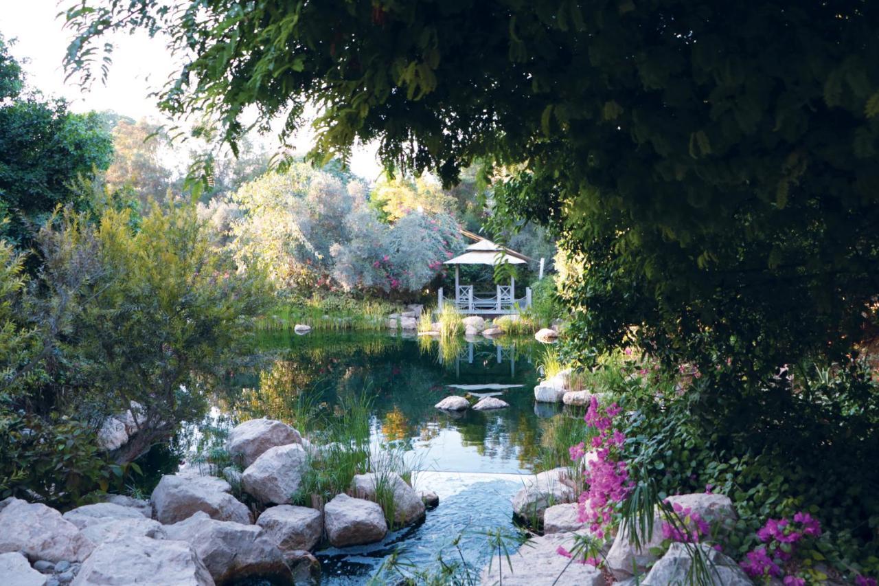 Zaya Al Barari Living