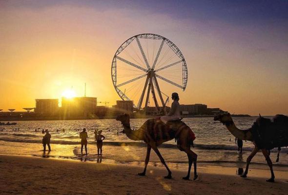 Al Marsa Lejlighed Dubai