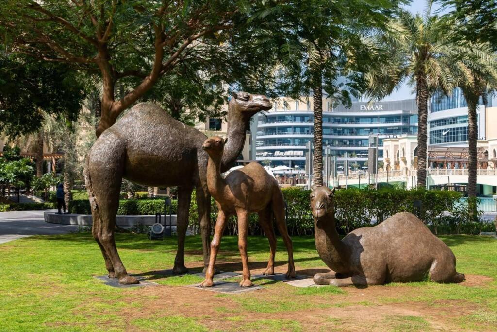 Frank Porter - Mon Reve * Dubai
