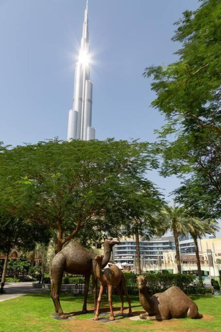 Frank Porter - Mon Reve Dubai