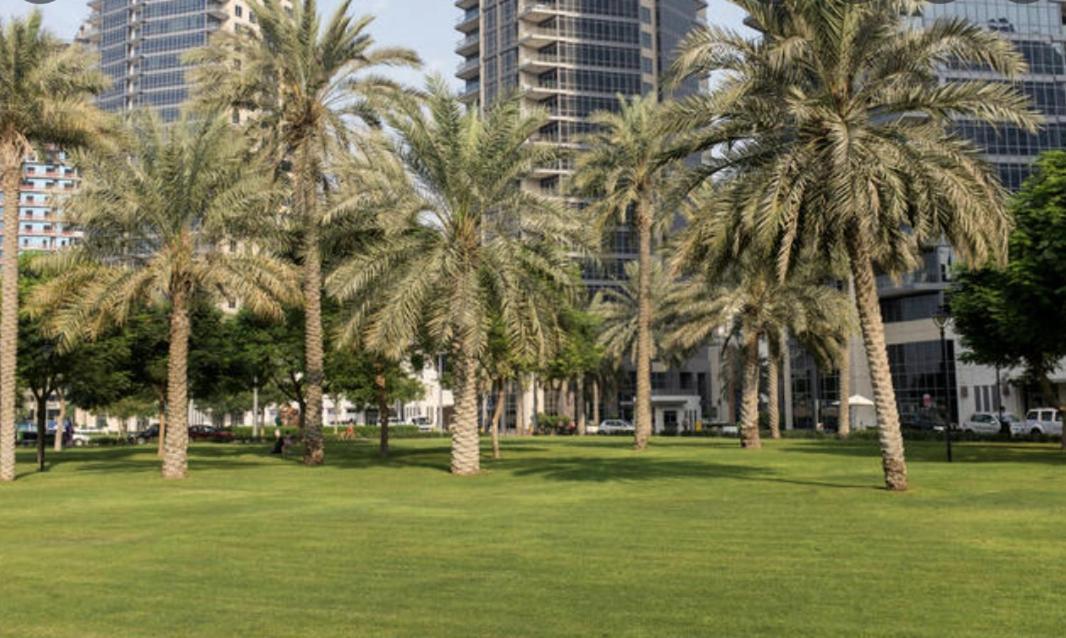 Apartment Luxury 3 Bedroom - Direct View To Burj Khalifa *