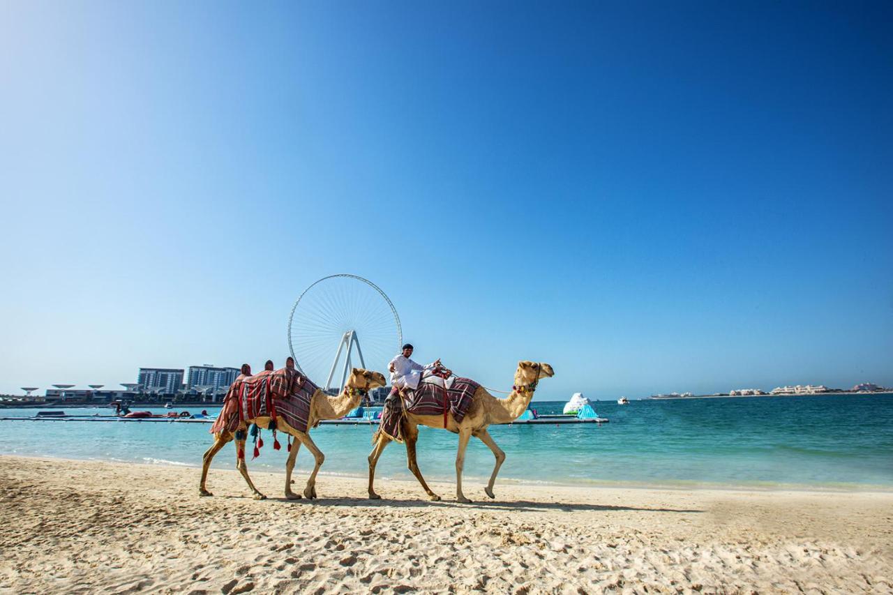 Lovely 2 Bedroom Near The Beach Appartement
