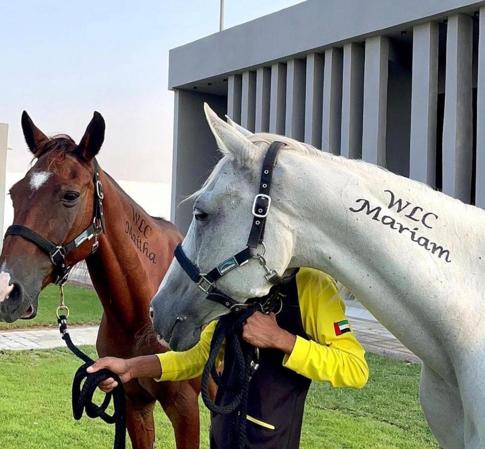 Aayan Resor Dubai