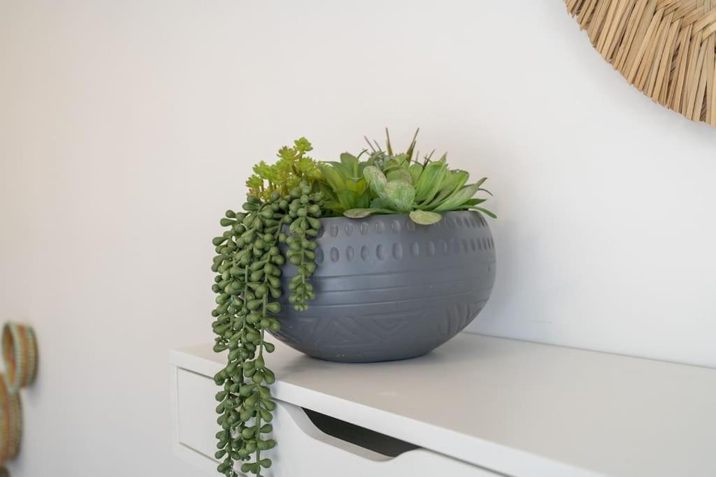 Apartment Tropical Loft With Working Station In Jvc *