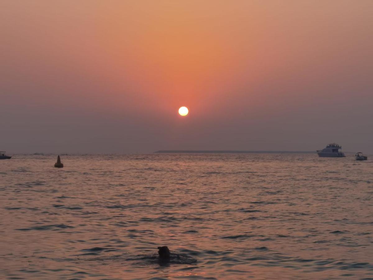 For Family & Friends 2 Bhk In Marina