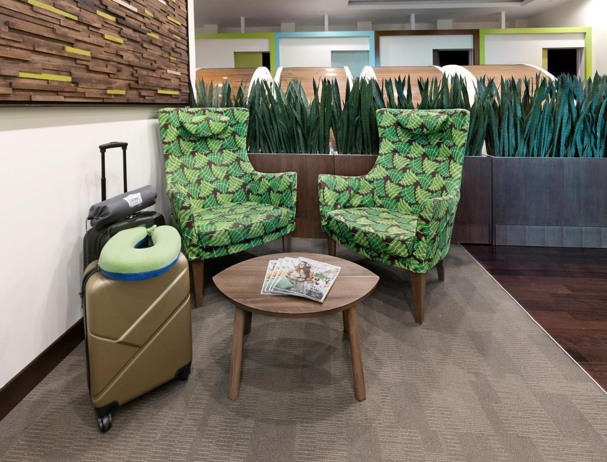 Sleep 'n Fly Sleep Lounge, A-gates Terminal 3 - Transit Only Dubái