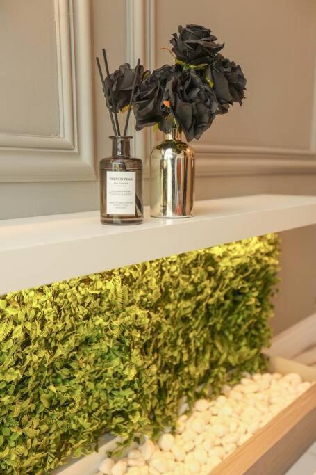 Apartment Downtown French Chic