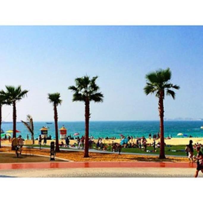Apartment 2br Jumeirah Front Dubai