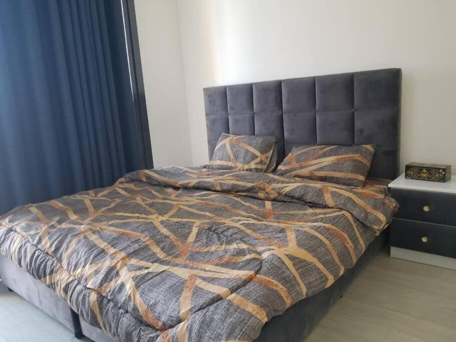 Luxurious 3bhk In Vilă
