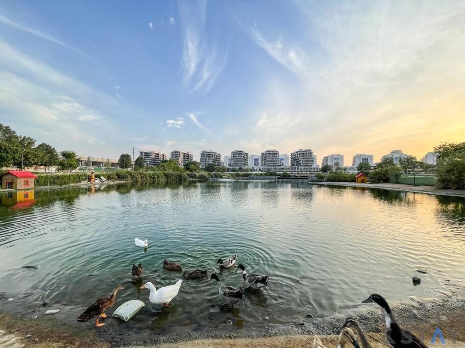 Apartamento In Loreto 1a, Damac Hills - Host & *