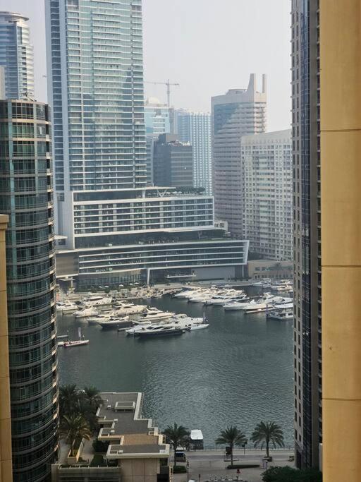 Luxury Jbr 172 *