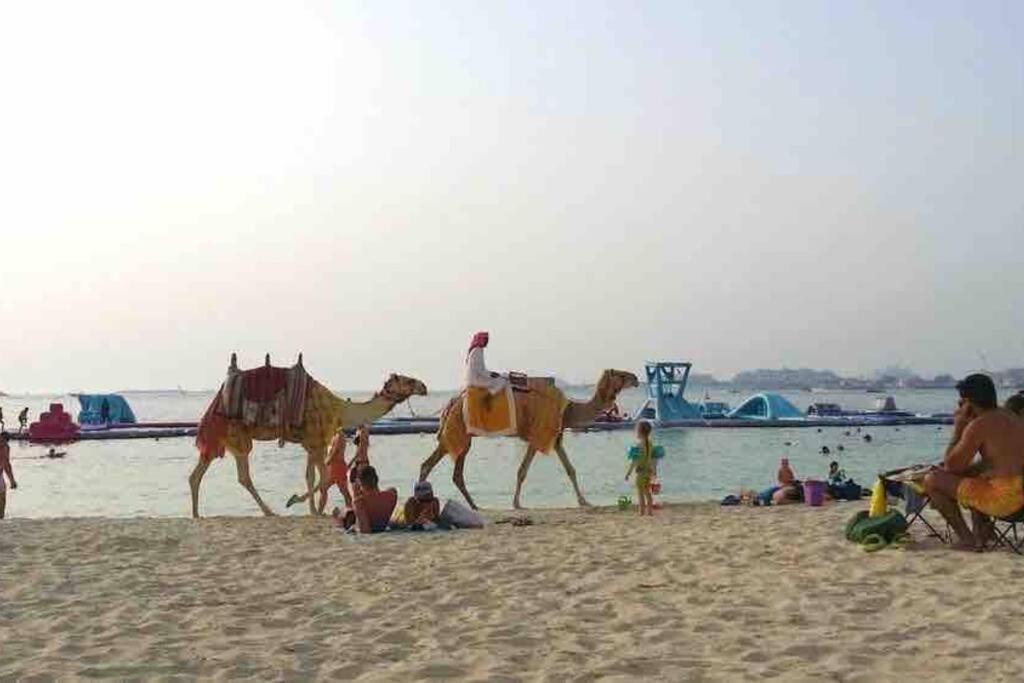 Your Cosy Marina Appartamento Dubai