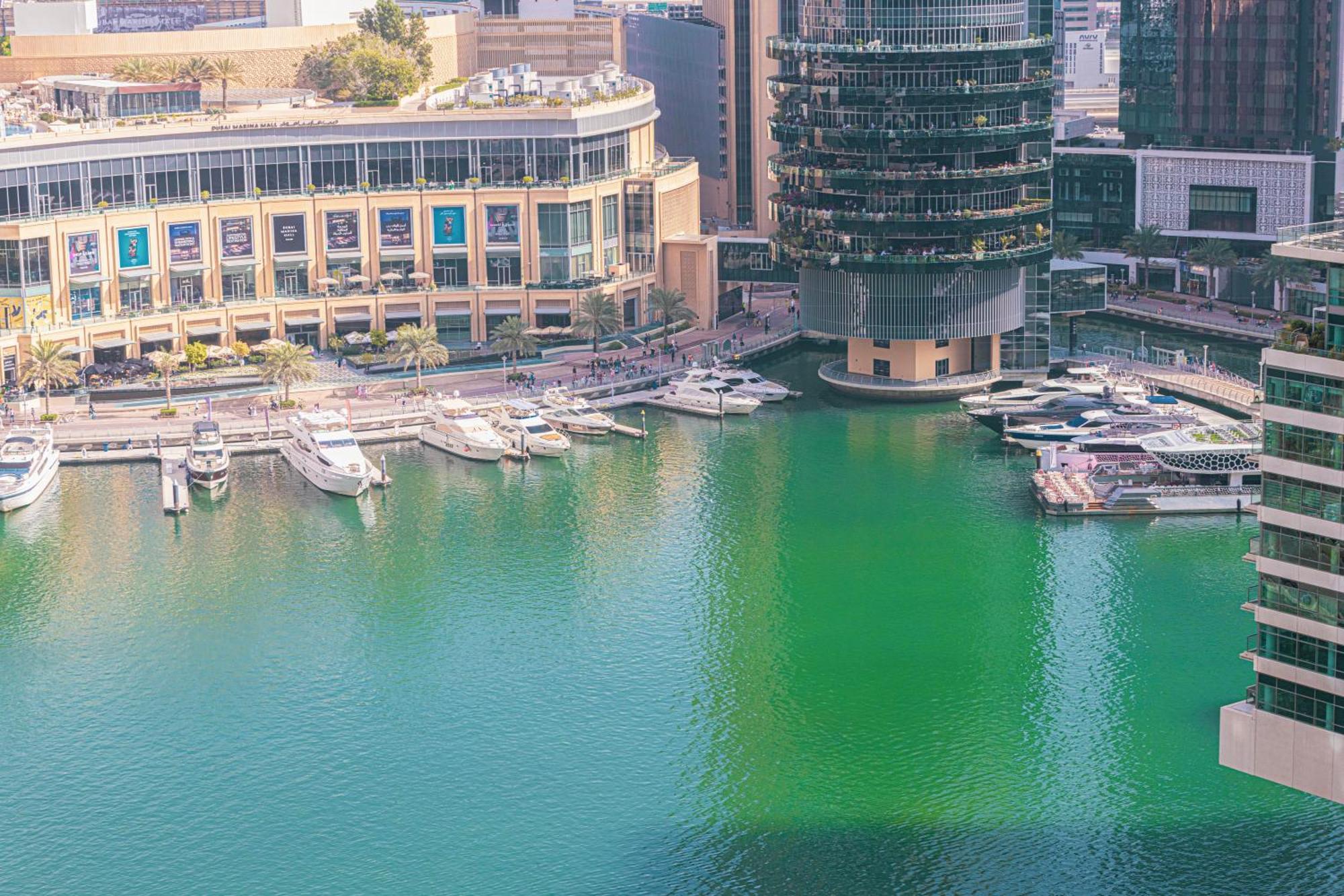 Salt Of The Ocean In Jbr By Lagom Dubai