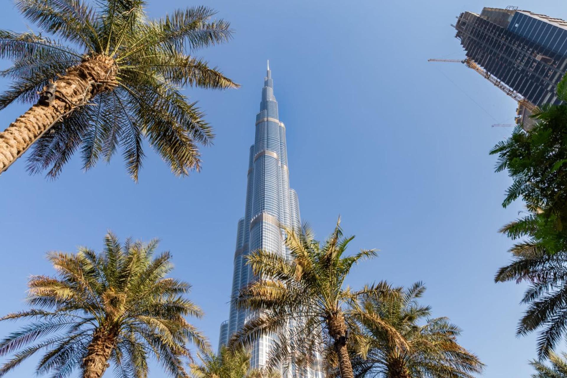 Frank Porter - Stand Point Dubaï