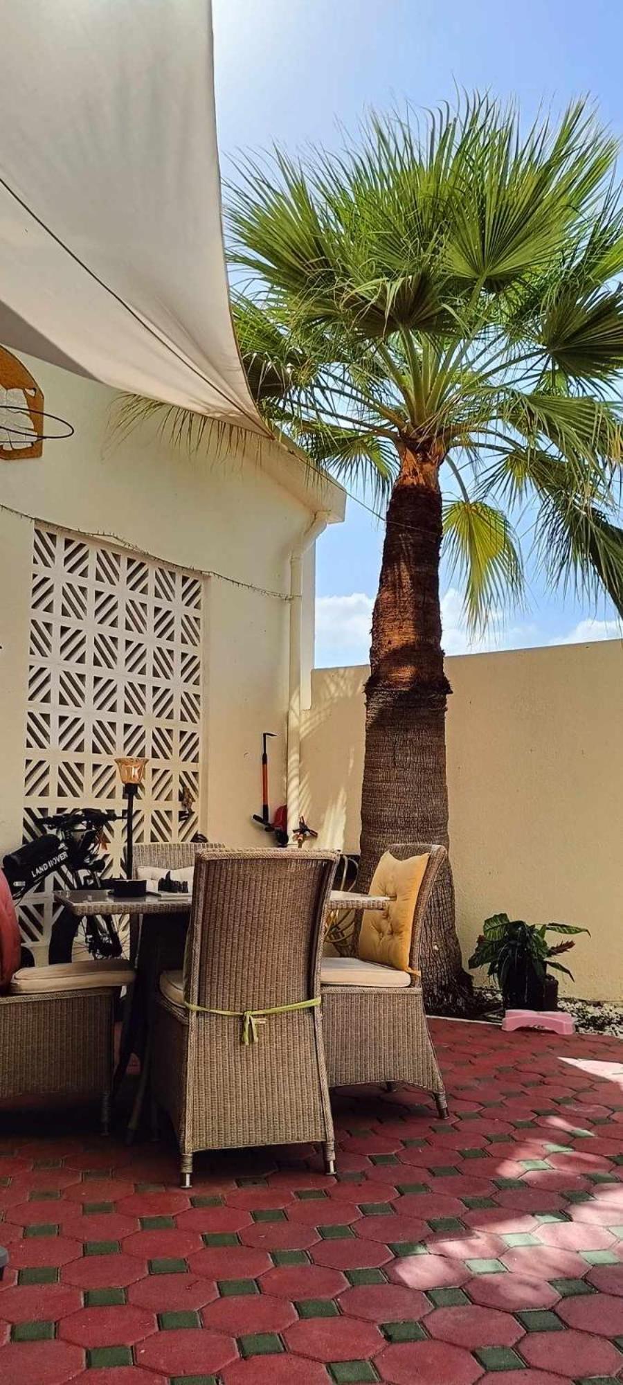 Jumeirah Appartement