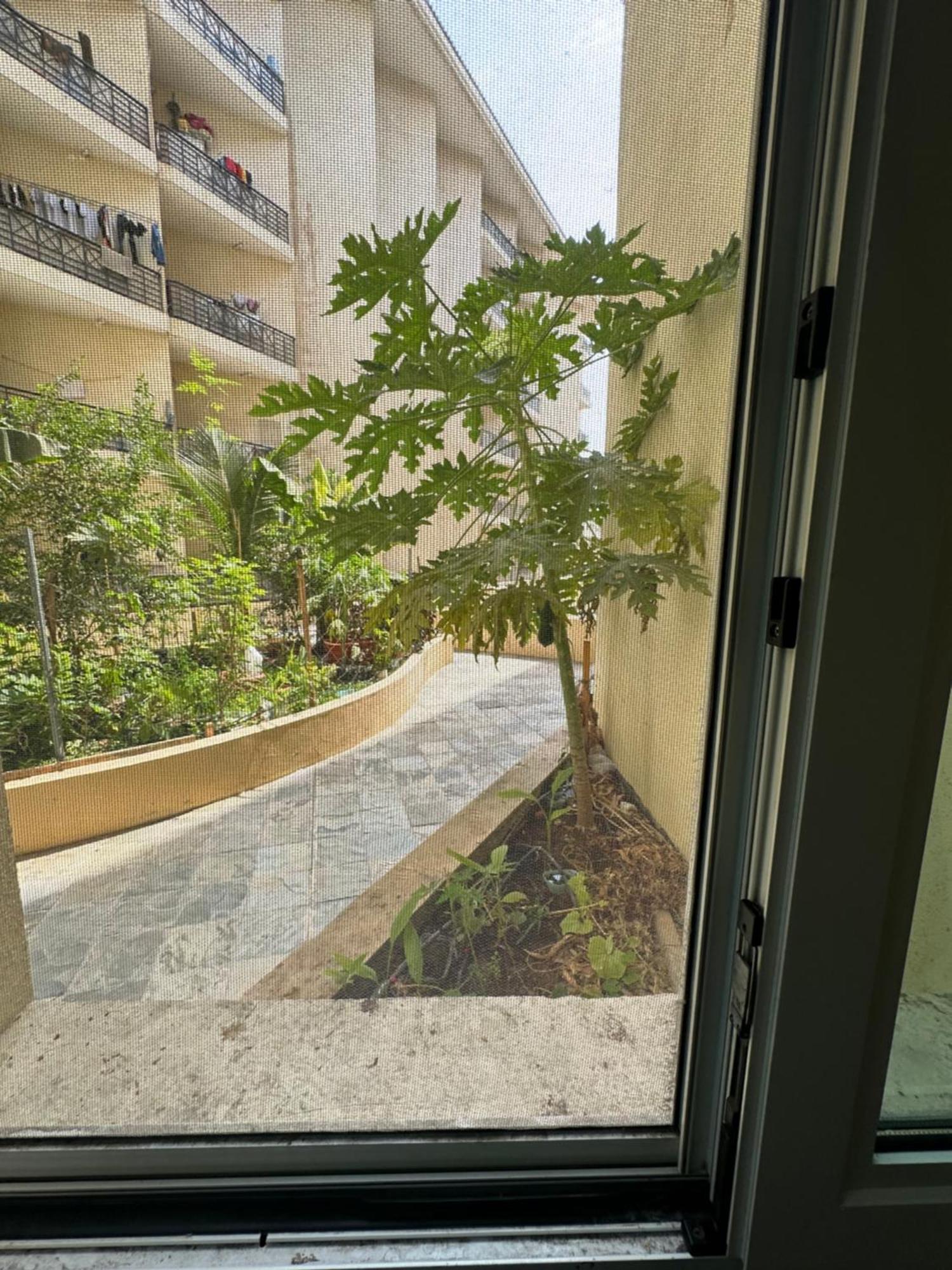 M02 Centre Residance Near Metro Homestay *