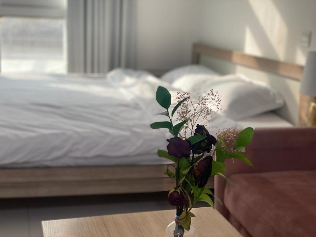 Apartament Cute And Small Partitions For Girls In Dubai- Female Guests Only فتيات فقط Dubai