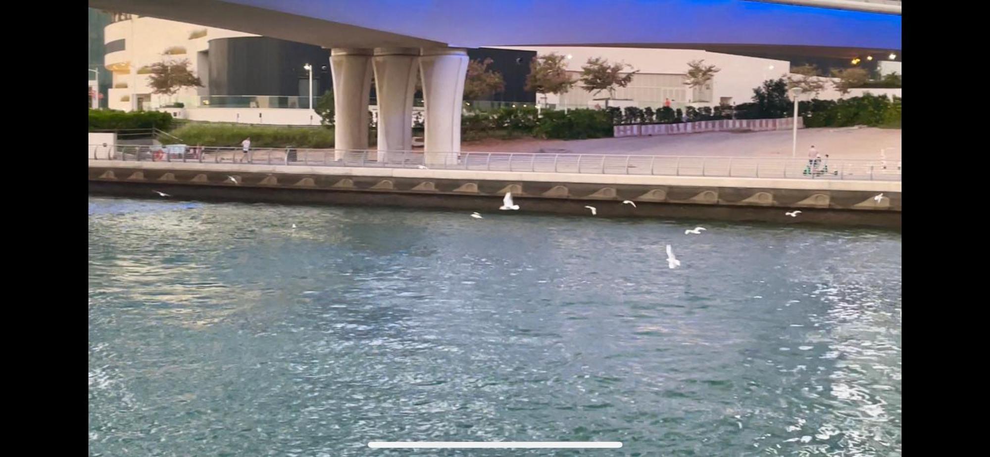 Bright & Cozy 1 Bedroom Canal View In Marina Apartamento