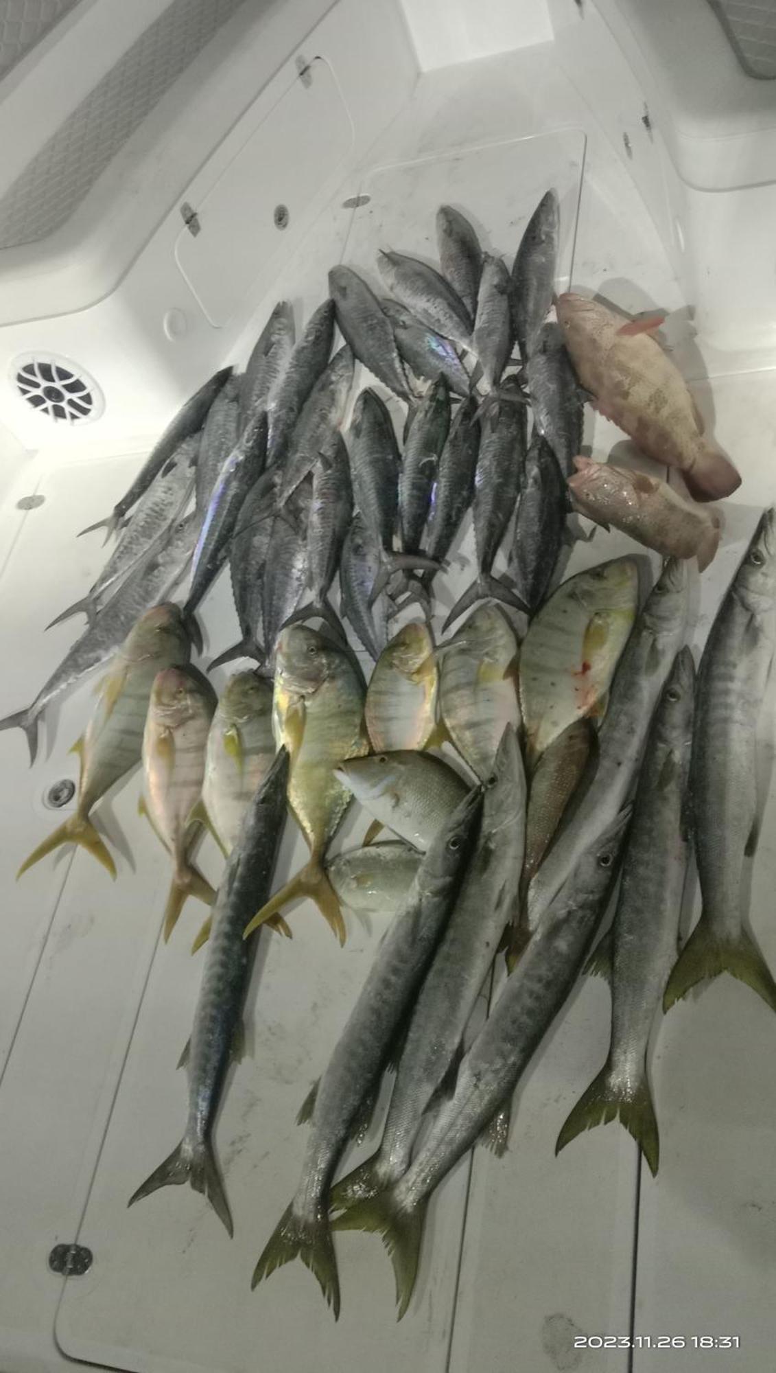 Fishing Trip 5 * Dubaï
