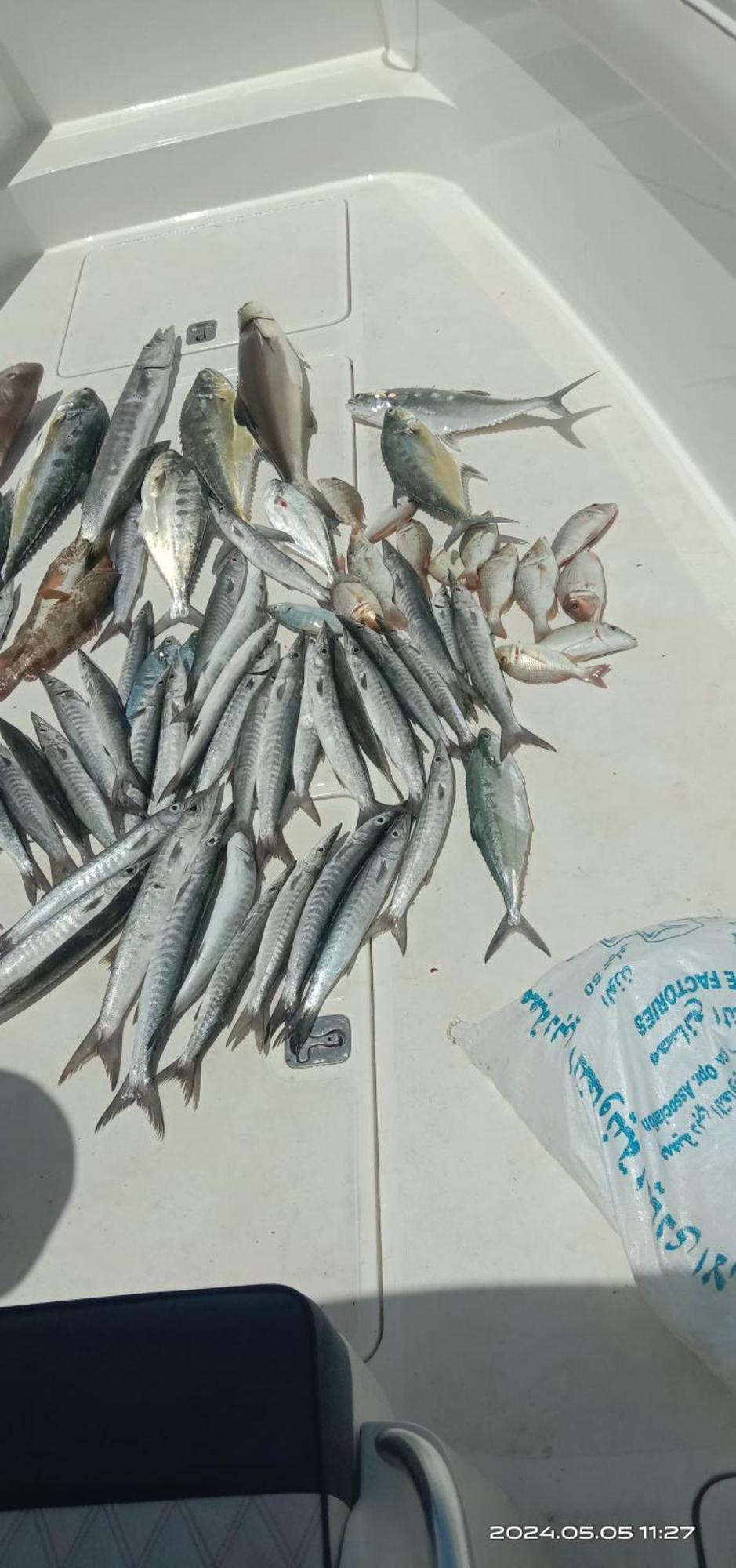 Fishing Trip 5 Dubaï