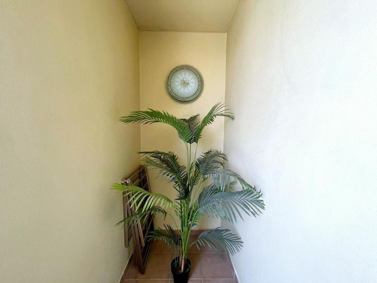 Family Apartment, Prime Location In Jbr, Location Apartament Dubai