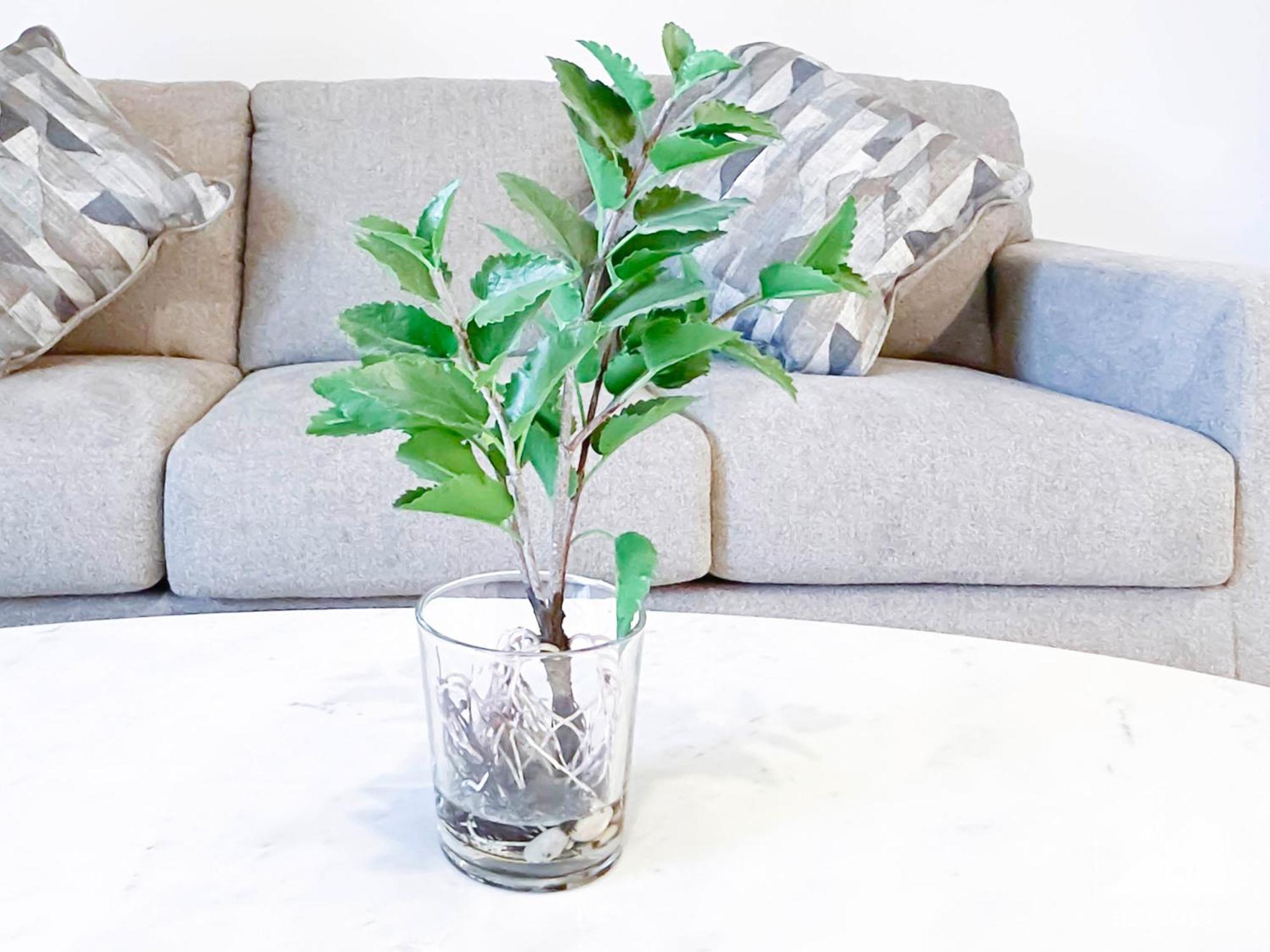 Exclusive One-bedroom In Asyel 3 Appartement Dubaï